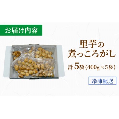 【福井・大野の味】上庄里芋の煮っころがし(真空)400g×5袋 