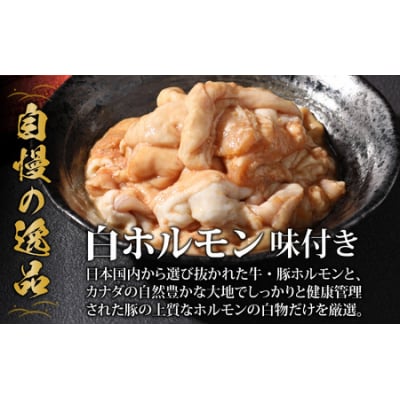 【全国ホルモン大会初代優勝】 星山ホルモン 白 ホルモン 600g  (300g×2袋・たれ付) 