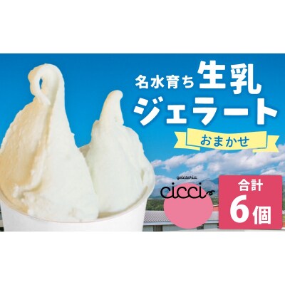 越前大野の「名水育ち生乳ジェラート」おまかせ 6個セット