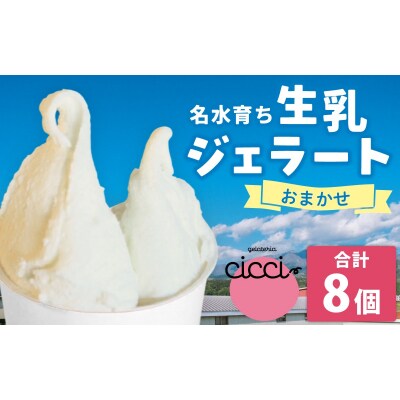 越前大野の「名水育ち生乳ジェラート」おまかせ 8個セット