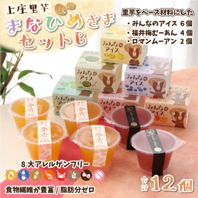 【アレルギー対応スイーツ】まなひめさまセットB(アレルギー特定原材料8品目不使用)