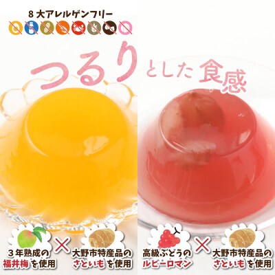 【アレルギー対応スイーツ】まなひめさまセットB(アレルギー特定原材料8品目不使用)