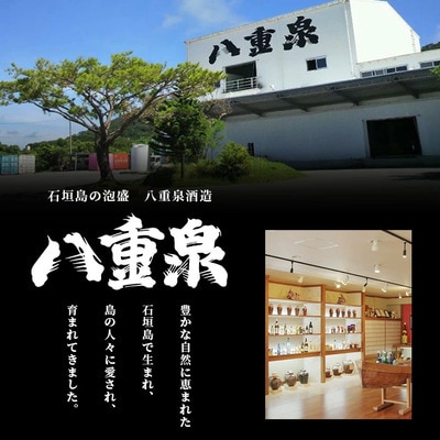琉球泡盛　島うらら+古酒八重泉+黒真珠+八重泉一升瓶セット YS-018