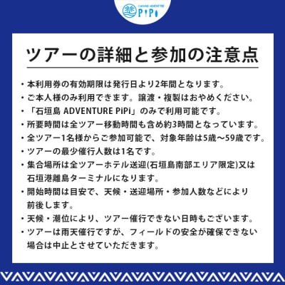 石垣島の自然を満喫!石垣島1日アクティビティ (利用券 1名様分) NS-002