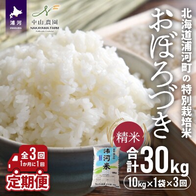 浦河町特別栽培米「おぼろづき」精米10kg×1袋 定期便全3回[37-1134]
