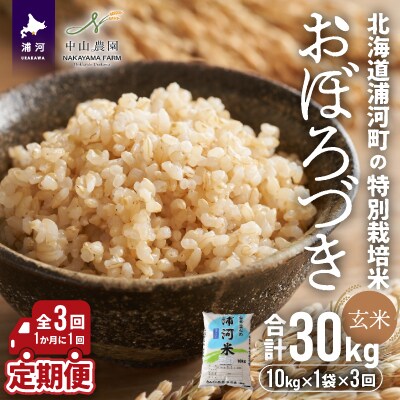 浦河町特別栽培米「おぼろづき」玄米(10kg×1袋)定期便全3回[37-1176]