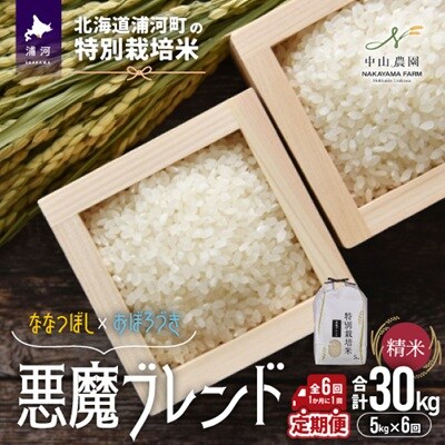 浦河の特別栽培米「悪魔ブレンド」精米(5kg×1袋)定期便(全6回)[37-1497]