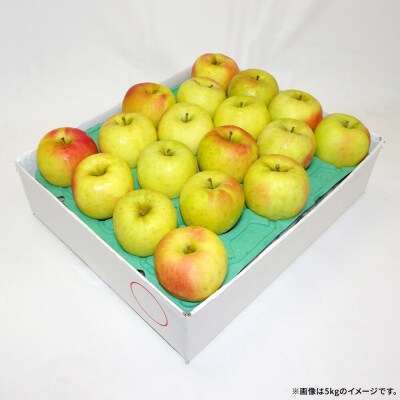 【27年1月発送】りんご 名月【良品】約10kg|24_kta-141001a