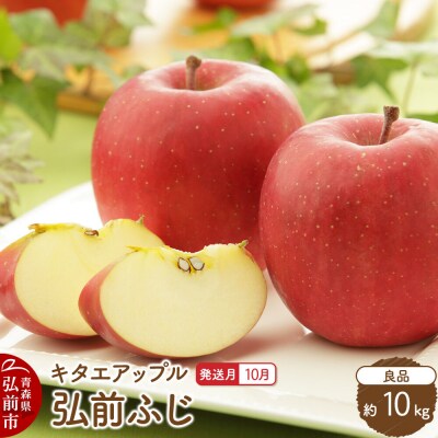 【26年10月発送】りんご 弘前ふじ【良品】約10kg|24_kta-151001h
