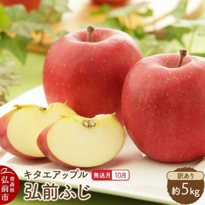 [26年10月発送]りんご 弘前ふじ[訳あり]約5kg|24_kta-160501h