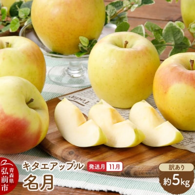 [26年11月発送]りんご 名月[訳あり]約5kg|24_kta-170501i