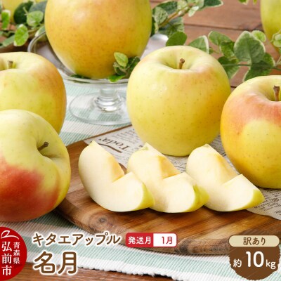【27年1月発送】りんご 名月【訳あり】約10kg|24_kta-171001a