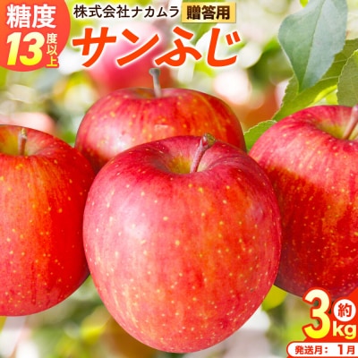 りんご サンふじ[贈答用]約3kg(9〜12玉程度)先行受付|24_nmk-010301bf