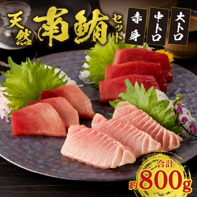 『鮪の魚二』天然南鮪大トロ中トロ赤身約800gセット(a40-076)