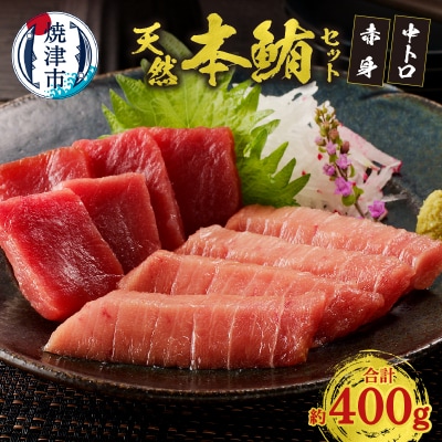 『まぐろの魚二』天然本鮪中トロ・赤身約400gセット(a17-020)