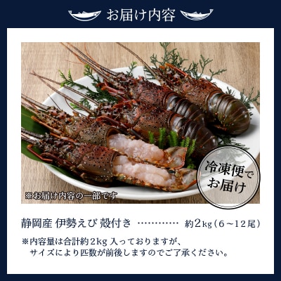 伊勢海老 三昧セットC 刺身用+焼物用(b100-035)