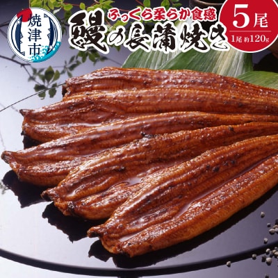 鰻の長蒲焼き5尾詰合せ(a50-085)