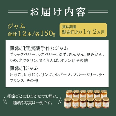 無添加無農薬手作りジャム12本(a20-272)