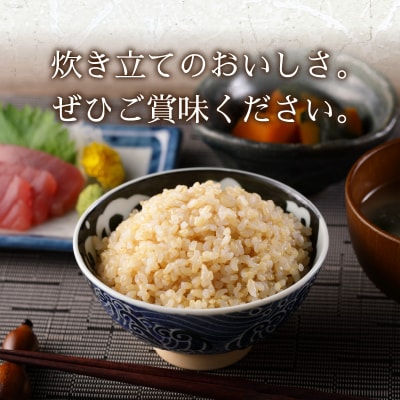 令和7年産 別格 玄米 10kg コシヒカリ(a22-074)