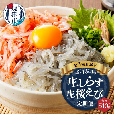 【定期便 3回】 焼津産生しらす(100g×3) 生桜えび(70g×3個)(a30-221)