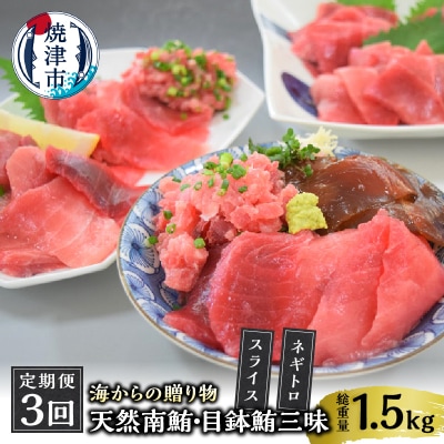 海からの贈り物 焼津天然まぐろ三昧 切り落とし(3回お届け)定期便(a30-232)