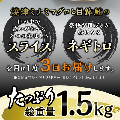 海からの贈り物 焼津天然まぐろ三昧 切り落とし(3回お届け)定期便(a30-232)