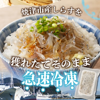 【定期便 3 】生しらす100g 6個×3回(a30-234)