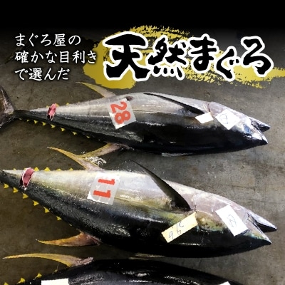【定期便 3回】 天然鮪 + ネギトロ 個包装20食セット(a30-207)