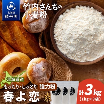 竹内さんちの小麦粉 北海道 春よ恋 1kg×3袋 小分け袋 