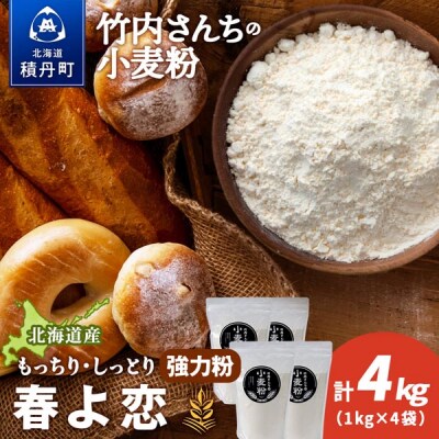 竹内さんちの小麦粉 北海道 春よ恋 1kg×4袋 小分け袋 