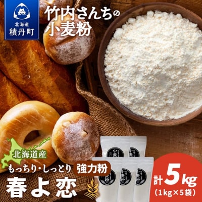 竹内さんちの小麦粉 北海道 春よ恋 1kg×5袋 小分け袋 