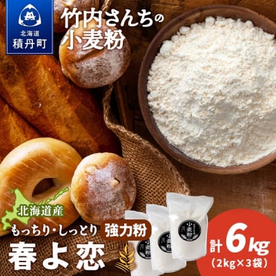 竹内さんちの小麦粉 北海道 春よ恋 2kg×3袋 
