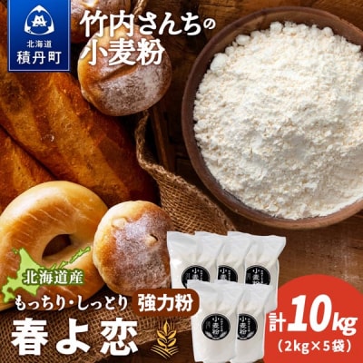 竹内さんちの小麦粉 北海道 春よ恋 2kg×5袋 