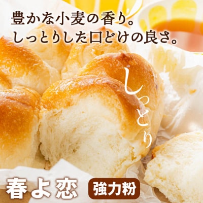 竹内さんちの小麦粉食べ比べ! 春よ恋・ゆめちから 各2kg×各1袋 保存に便利なチャック付袋!