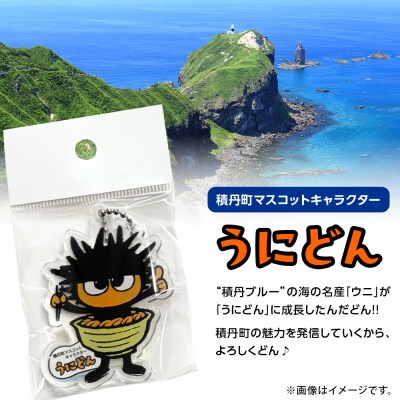 うにどん雑貨セット〈アクリルキーホルダー(A)×1〉〈おみくじつき★〉