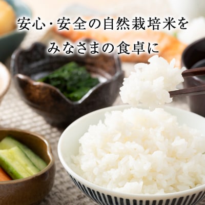  白米 5kg 天龍舞 自然栽培米