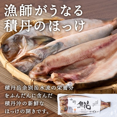 積丹ホッケの開き(2枚)・積丹クロマグロ漬け(80g)セット