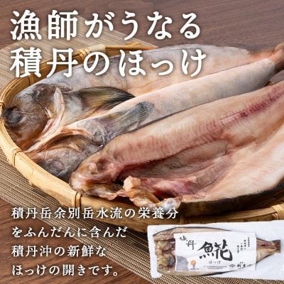 積丹ホッケの開き(1枚)・積丹クロマグロ漬け(80g×2)セット