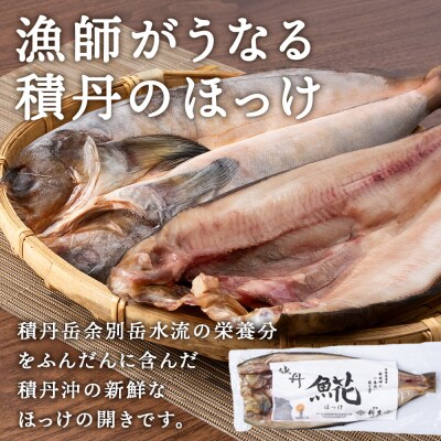 積丹ホッケの開き(2枚)・積丹クロマグロ漬け(80g×2)セット