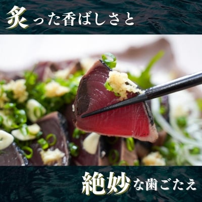 かつおタタキ 炭火焼 約1.5kg(a10-850)
