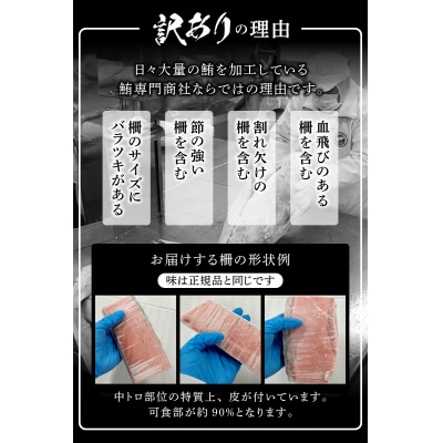 訳あり 天然 南鮪 中トロ 約400g(a10-859)