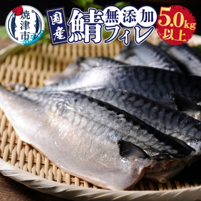 5.0kg以上! 国内産 無添加 さば フィレ(a24-033)