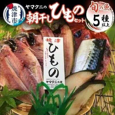 【チルドでお届け】朝干しひものセット5種以上!(a10-431)