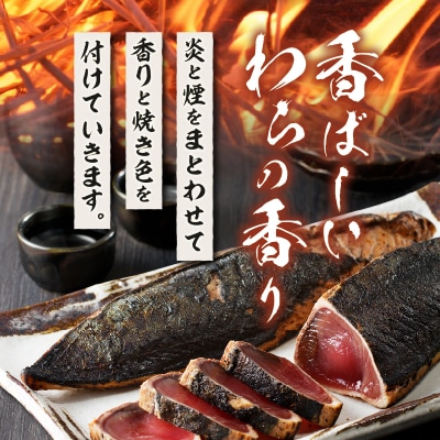 焼津式 かつおのたたき 鬼わら焼き 1.5kg(a13-146)