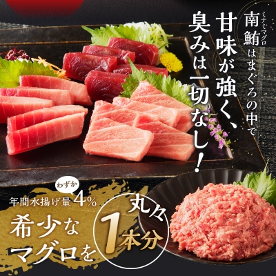 【定期便10回】南鮪 1本 総重量約29kg(各月約2.9kg)(m10-001)