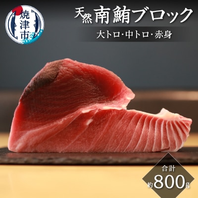 キボシ水産 天然 南鮪 ブロック 大トロ 中トロ 赤身 約800g(a25-045)