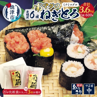 【定期便】南マグロねぎとろ600g＜6人前＞×6回(b100-074)