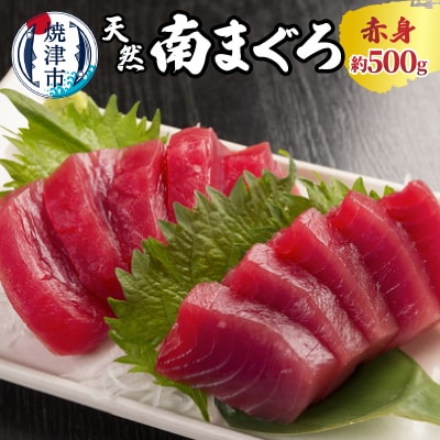 焼津 天然 南 まぐろ 赤身(a10-244)