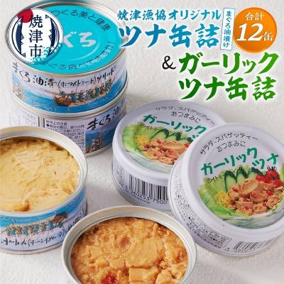 焼津漁協オリジナルツナ缶詰(まぐろ油漬け)6缶入&ガーリックツナ缶詰6缶入(a11-140)