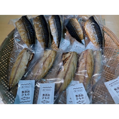 【焼津ひもの食堂】焼いてあるとろさばひもの10枚(a15-669)